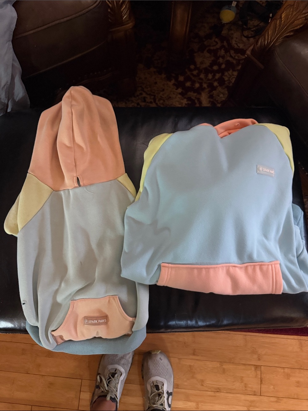 Spark paws Colorblock Pastel Hoodie - human hoodie dog hoodie